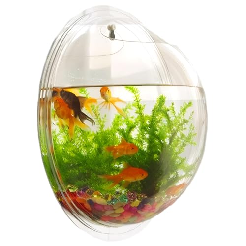 Kleines Aquarium 9,1 Zoll Durchmesser klarer Acrylwandmortenfischtank Easy Setup Raumsparende Wandfischtank für Fische, Blumen und Pflanzen, kleines Aquarium, Acrylaquarium von Banziaju