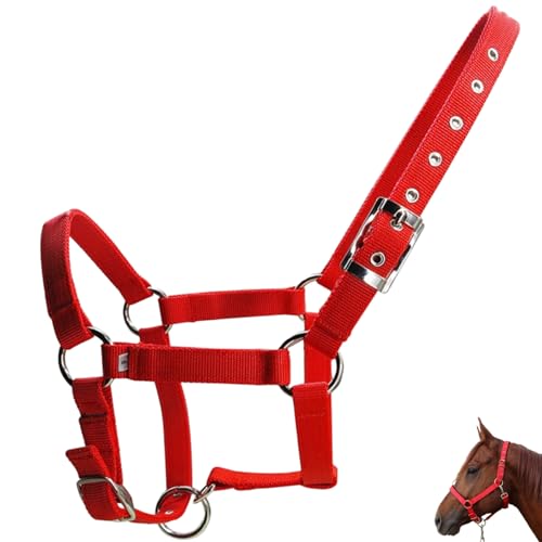 Lederpferdhalter, 25 mm breit verdickte Gurthöfchenhochter mit Metallschnalle, verstellbare Seilhalter für Pferde, tragbares Mini -Pony -Halfter für Training, Pferdestörungen, rot von Banziaju