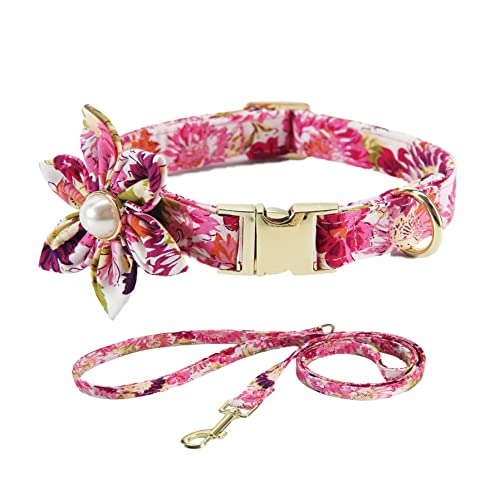 Süße schicke Hundehalsband, Mädchenhundkragen mit Blumenmädchenhundkragen Süßes weibliches Hundehalsband mit Verstellbarer Metallschnalle für Haustier -Outfit L Collar von Banziaju