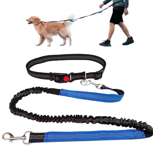 Taille-Leine für Hunde Laufen 49-71 Einziehbare Hände Freie Hundeleine mit Legierungsclip Reflektierende Polyester-Hundeleine zum Gehen, Joggen, Laufen, Training, Hände Freie Hundeleine, Hundeleine von Banziaju