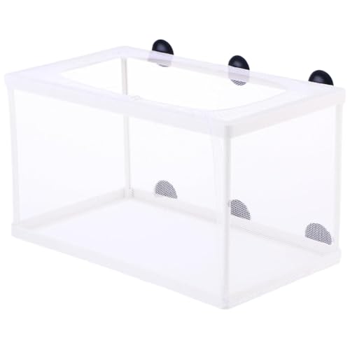 Züchterbox für Fischtank, große Fischzüchtungsbox, weißes Maschen -Aquarium -Fischzüchterbox auf Fischpfleger mit Saugbechern, Fischzüchterbox für Aquarium 6x5.7x10 von Banziaju