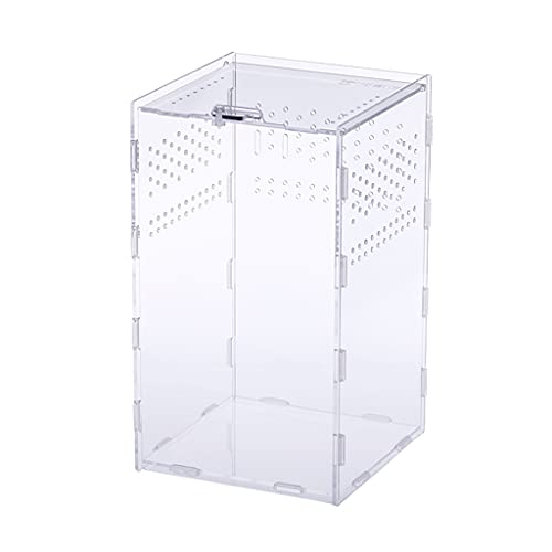 BaoFufc Futterbox für Fälle, tragbares Acryl-Terrarium, transparenter Insektenlebensraum für Mini-Haustiere, 4 kleine Zuchtboxen von BaoFufc