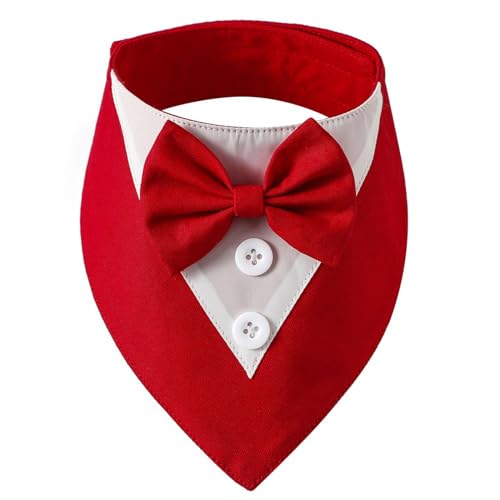 BaoFufc Prinz Kragen für Katze Haustier Halstuch Kleid Kätzchen Hals Dekoration Elegante Katze Halsband mit Fliege Mehrfarbig Bandana Halsband Katze Fliege von BaoFufc