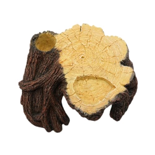 Baoblaze Aquarium-Versteck, Sonnenbereich, dekorative Landschaftsdekoration, Aquarium-Dekoration für Frösche, Eidechsen, Amphibien, 24cmx22cmx10cm von Baoblaze