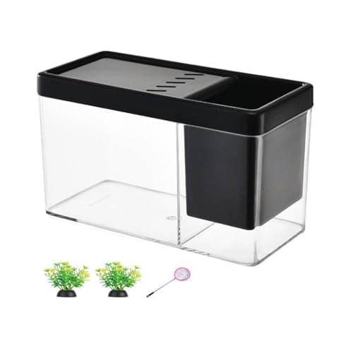 Baoblaze Fischglas-Kits, Fischtank, Fischtank-Box, Blumentopf, Behälter, Tank, Aquarium, Terrarium für Zuhause, Betta, Blumenarrangements, Schwarz von Baoblaze