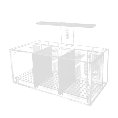 Baoblaze Fischkorb, Aquarium, transparenter Tank für Goldfische, Tropische Fische, Dekoration für den Innenbereich, Betta-Aquarium, Schlafzimmer, Aquarium, von Baoblaze