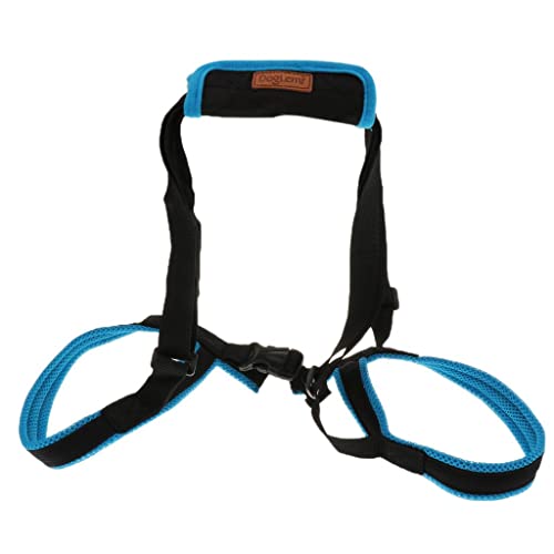 Baoblaze Hund Hinterbein Auxiliary Belt Lift Harness Mobility für Alte Verletzte Hunde, L von Baoblaze