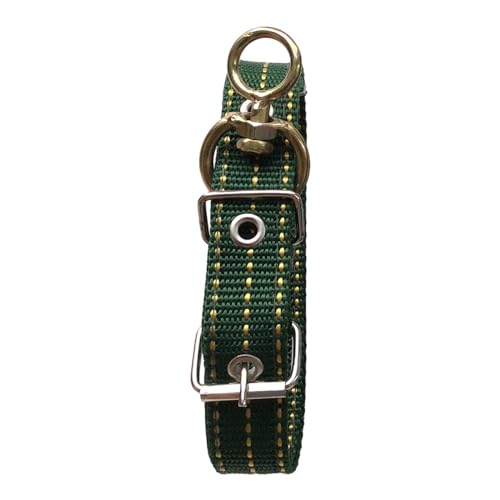 Baoblaze Hundehalsband mit Metallschnalle, weich gepolstert, breit, bequem, strapazierfähig, Haustier-Trainingshalsband zum Wandern, Hundeliebhaber, S von Baoblaze