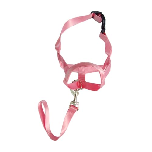 Baoblaze Hundehalsband ohne Zugkopf, Hundekopfhalfter mit, effektives Trainingsgerät, Heimtierbedarf, Hundehalftergeschirr mit Führung, XL von Baoblaze