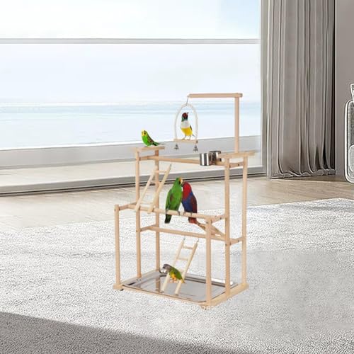 Baoblaze Papagei Spielplatz Holz Barsch Gym Laufs Tall mit Leiter Papagei Ständer Sittich Vogel Spielstand für Conures Kleine Vögel Wellens ittich, 17.7x12.2x31.5inch von Baoblaze