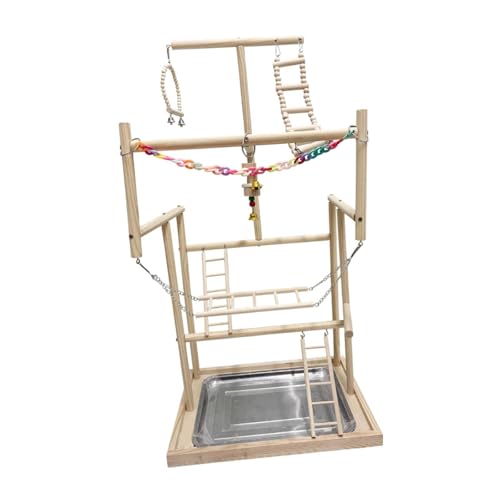 Baoblaze Papagei Spielplatz Holz Barsch Gym Laufs Tall mit Leiter Papagei Ständer Sittich Vogel Spielstand für Conures Kleine Vögel Wellens ittich, 18.9x13.19x37.2inch von Baoblaze