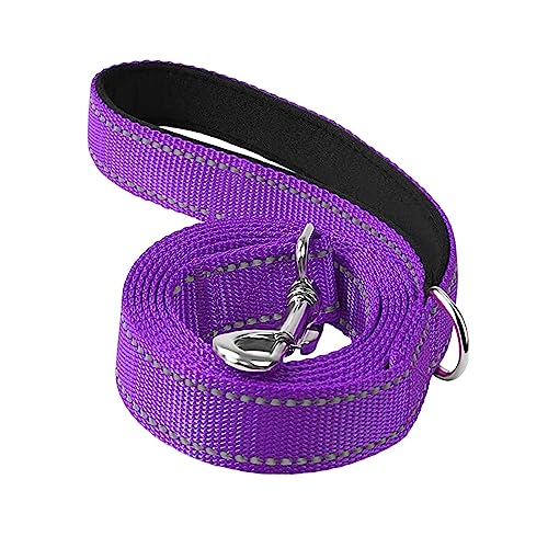 Baoblaze Reflektierende Hundeleine, bequem, professionell, 1,8 m lang, leicht zu reinigen, geflochtene Nylon-Hundetrainingsleine, für kleine große, Violett von Baoblaze