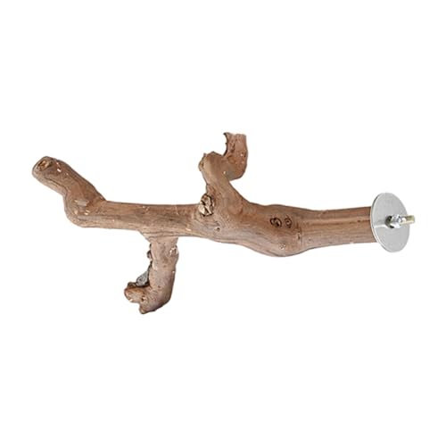 Baoblaze Sitzstange aus Holz mit Saugnapf, Papageienständer, Vogeldusche, Sitzstange für Papageienkäfig, Sitzstange für Sittiche, Blauvögel, Wellensittiche, 30CM von Baoblaze