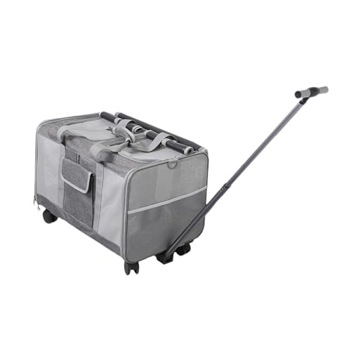 Baoblaze Transportbox für Hunde und Katzen mit Rädern, rollende Welpentrage, abnehmbare Transportbox für Haustiere auf Rädern, zusammenklappbare Reisetasche, grau von Baoblaze