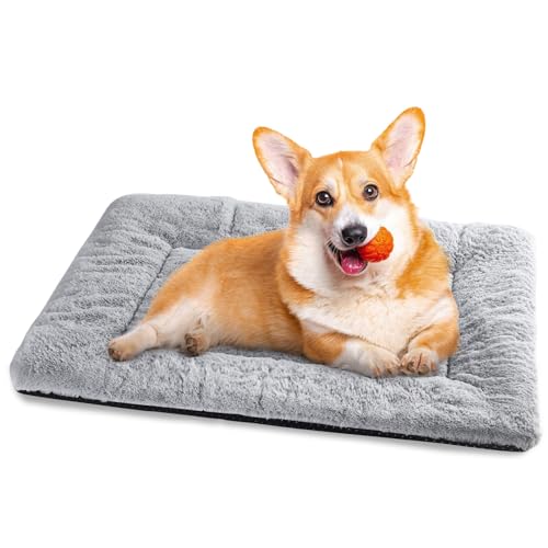 Baodan Hundebett Mittelgroße Kleine Hunde, Hundekissen Waschbar Dog Bed - 60x45 cm Superweich Katzenbett mit Rutschfester Unterseite - Grau von Baodan