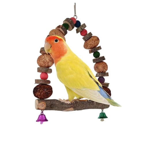 Baoqifong Vogel Sitzstangen Für Käfig, Sittichkäfig-Zubehör, Spielbereich Ständer Spielzeug Zubehör Mit Rattankugel Für Innen- Und Außenbereich Sowie Fensterplatzierung Baoqifong Vogel Sitzstangen Für Käfig, Sittichkäfig-Zubehör, Spielbereich Ständer Spielzeug Zubehör Mit Rattankugel Für Innen- Und Außenbereich Sowie Fensterplatzierung von Baoqifong