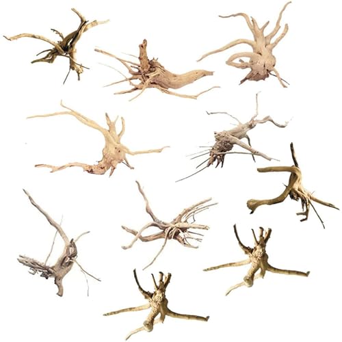 Barabesty Mini Treibholz für Aquarium Zweige Aquarium Dekorationen Reptilien Stamm Treibholz Sortiert (10 Pack) von Barabesty