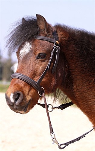 Barefoot Gebisslose Zäumung Walnut Pony (blau) von Barefoot