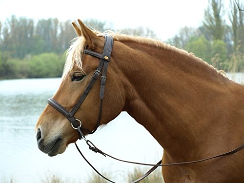 Barefoot Gebisslose Zäumung für Pferde – Bittless Bridle und Sidepull in einem – Weich gepolstert mit breitem Nasen-, Stirn- und Genickstück – ideal für Western, Englisch und Wanderreiten – braun von Barefoot