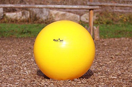 Pferdeball von Barefoot