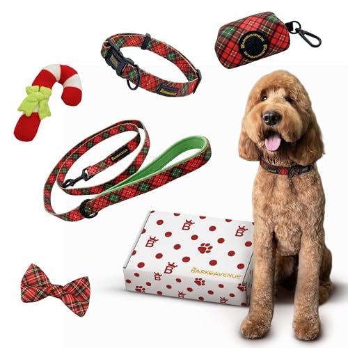 Bark Avenue Hundehalsband-Leinen-Set – Premium Halsband und Leine mit stilvoller Schleife und Kotbeutelhalter – ideal für kleine, mittelgroße und große Hunde (M/S/L) (klein) von Bark Avenue