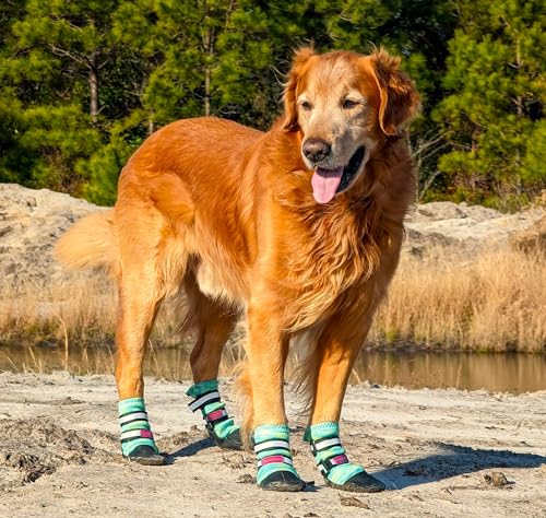 Bark Brite Allwetter-Neopren-Hundeschuhe mit reflektierenden Riemen, Large, Türkis von Bark Brite