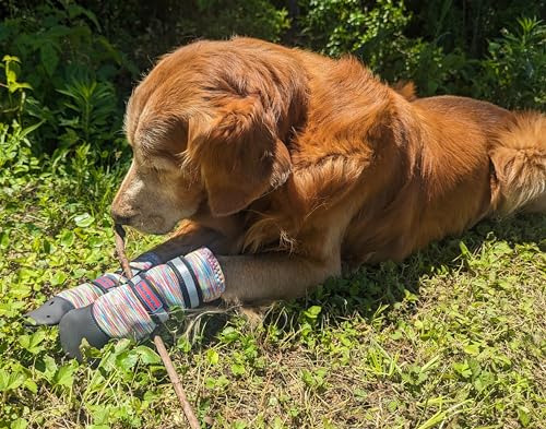 Allwetter-Neopren-Hundeschuhe mit reflektierenden Riemen, in 5 Größen! (Mehrfarbig, Large) von Bark Brite