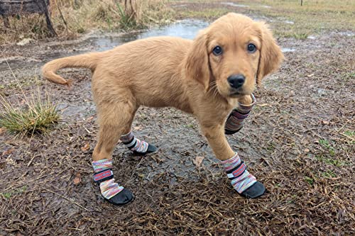 Allwetter-Neopren-Hundeschuhe mit reflektierenden Riemen, in 5 Größen! (Mehrfarbig, Small) von Bark Brite