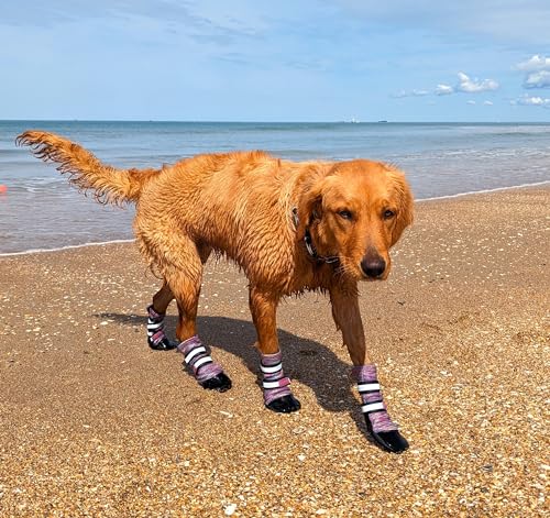 Bark Brite Hundestiefel, leicht, Neopren, für Komfort und Atmungsaktivität, in 5 Größen (Lavendel, Lg) von Bark Brite