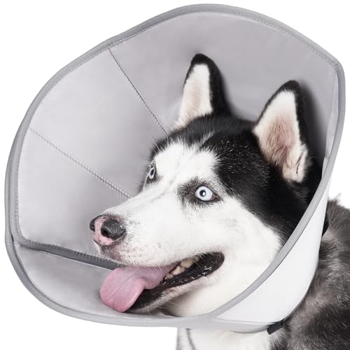 BARKLESS Alternative zu Cone of Shame für Hunde nach Operationen (Grau, L) von Barkless