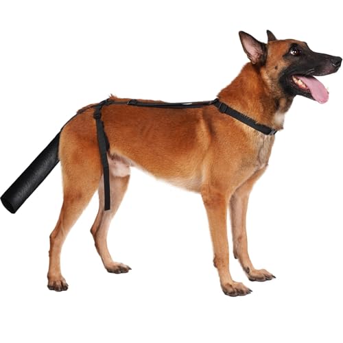 BARKLESS Hundeschwanzschutz, Hundeschwanzschutz für mittelgroße und große Hunde, verstellbare Abdeckung, um das Lecken von Wunden zu verhindern, atmungsaktive Schwanzendtasche zur Genesung (Schwarz, von Barkless