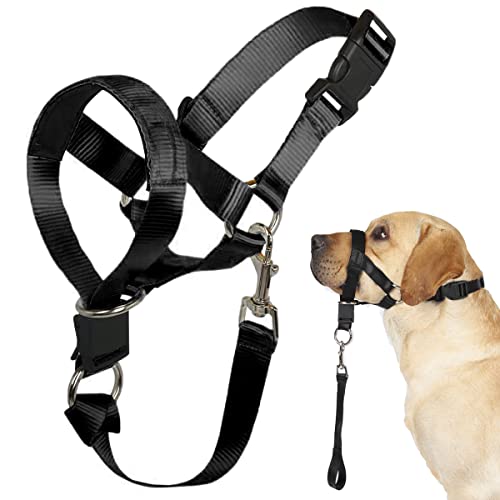 Hunde Halfter No Pull Training Tool für Hunde auf Spaziergängen Inklusive Trainingsanleitung Weiche Polsterung 5(L, Schwarz) von Barkless