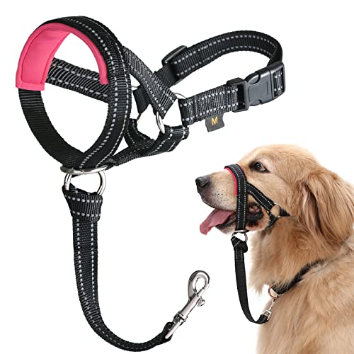 Hundekopfhalsband, kein Ziehen des Kopfhalfter mit weicher Polsterung, langlebiges, Labrador, inklusive Trainingsanleitung von Barkless