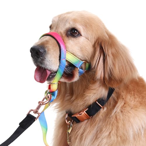 Regenbogen-Hundehalsband, verhindert, dass mittelgroße und große Hunde an der Leine ziehen, zum Spazierengehen (Regenbogen, M) von Barkless