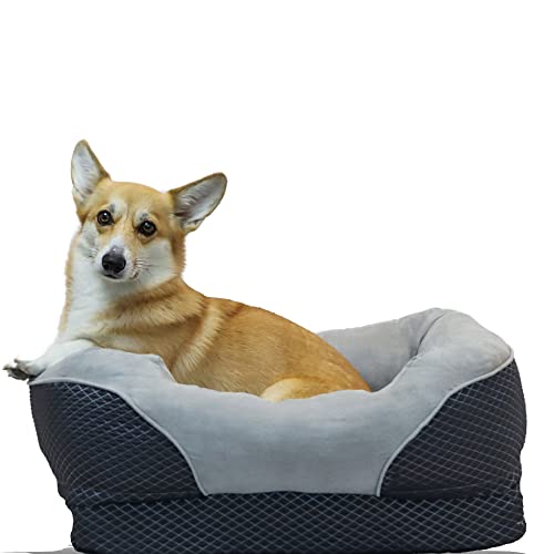 BarksBar Snuggly Sleeper Orthopädisches Hundebett mit Schaumstoffmatratze, Plüschschlafplatz und weichem Baumwollkissen – Größe S, 66 x 50 cm, Grau von BarksBar