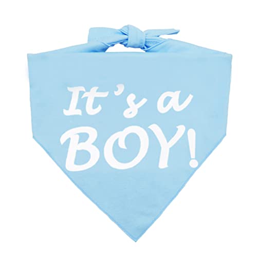 Hundehalstuch mit Aufschrift "It's a Boy or It's a Girl", Schwangerschaftsankündigung, Dreieck, Haustier-Schal, Schal, Foto-Requisite, Blau von Bebudmedy