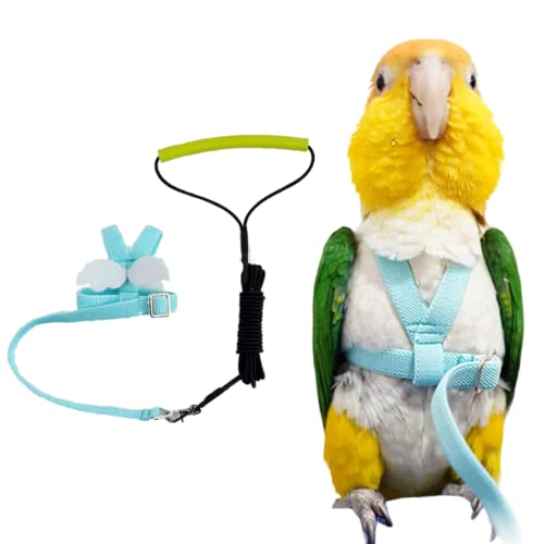 Pet Papagei Bird Harness Leash Adjustable Bird Flying Harness Traction Rope with Cute Wing for Parrots Pigeons Wellensittich Lovebird Nymphensittich Mynah Outdoor Training Toy (M, Blue) von Barn Eleven