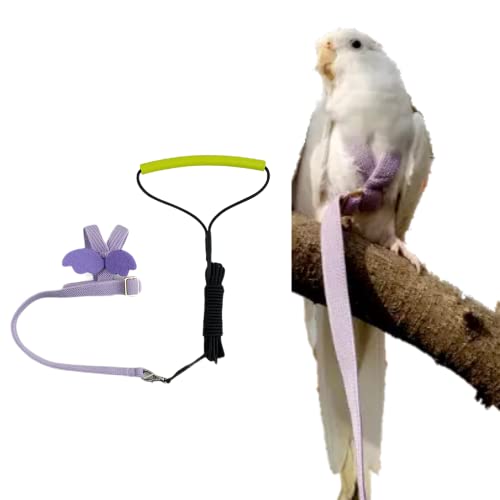 Pet Papagei Bird Harness Leash Adjustable Bird Flying Harness Traction Rope with Cute Wing for Parrots Pigeons Wellensittich Lovebird Nymphensittich Mynah Outdoor Training Toy (S, Purple) von Barn Eleven