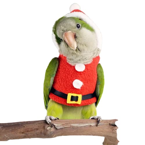 Vogelkleidung, Vogelfluganzug, Weihnachts-Kapuzenpullover für Papageien, Nymphensittiche, Sonne, Conure, Weihnachtsfeier, Cosplay, Foto-Requisite, Vogel-Shirt, Kleintierbekleidung (ohne Windel, von Barn Eleven