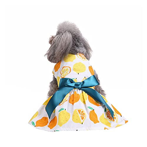 Barrageon Hunde Kleid Süß Prinzessin Bowknot Haustier Rock Kleidung Welpe Katze Für Kleine Hundekatze Mittelgroße Sommerkleidung (Gelb-XS) von Barrageon