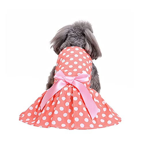 Barrageon Hunde Kleid Süß Prinzessin Bowknot Haustier Rock Kleidung Welpe Katze Für Kleine Hundekatze Mittelgroße Sommerkleidung (Orange-M) von Barrageon