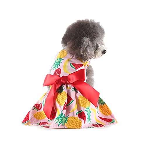 Barrageon Hunde Kleid Süß Prinzessin Bowknot Haustier Rock Kleidung Welpe Katze Für Kleine Hundekatze Mittelgroße Sommerkleidung (Rot Rosa-S) von Barrageon