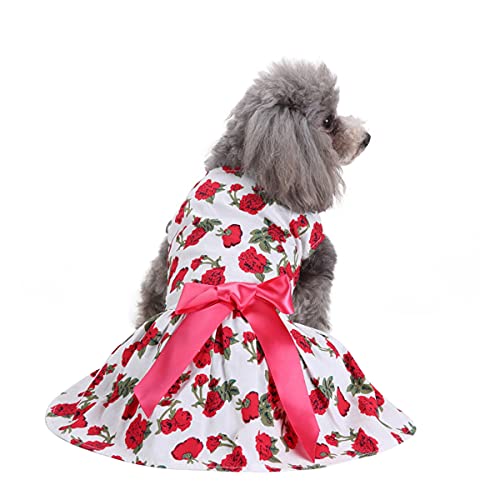 Barrageon Hunde Kleid Süß Prinzessin Bowknot Haustier Rock Kleidung Welpe Katze Für Kleine Hundekatze Mittelgroße Sommerkleidung (Weiß-M) von Barrageon