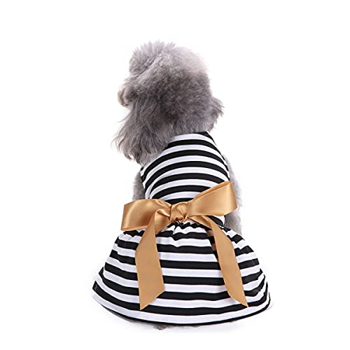 Barrageon Hunde Kleid Süß Prinzessin Bowknot Haustier Rock Kleidung Welpe Katze Für Kleine Hundekatze Mittelgroße Sommerkleidung (Weiß Schwarz-L) von Barrageon