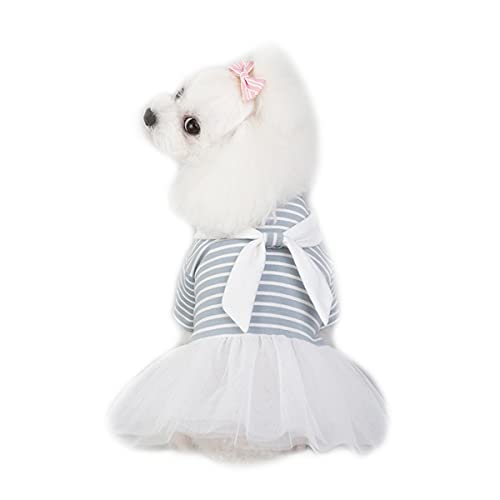 Barrageon Hunde Kleid Süß Prinzessin Rock Kleidung Katze Welpe Für Kleine Mittelgroße Bowknot Haustier Sommerkleidung Hundekatze (Hell Blau-M) von Barrageon