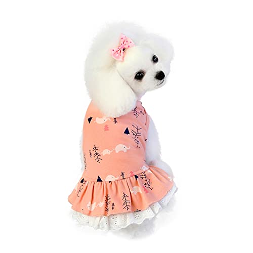 Barrageon Hunde Kleid Süß Prinzessin Rock Kleidung Welpe Katze Für Kleine Haustier Mittelgroße Sommerkleidung Bowknot Hundekatze (Rosa-M) von Barrageon