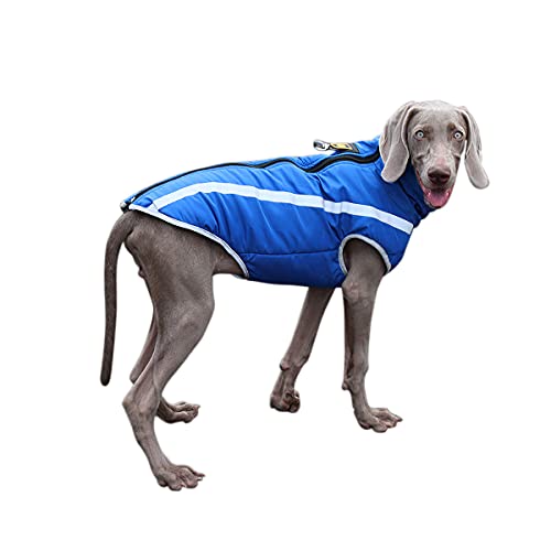 Barragoon Warme Weste Haustier Wintermantel Hunde Pullover Overall Welpen Jacke Katze Kleidung Licht Weiche Süß Klein Mittel (Blau-6XL) von Barrageon