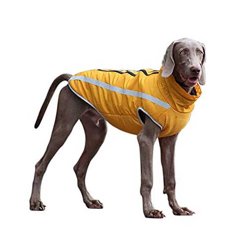 Barragoon Warme Weste Haustier Wintermantel Hunde Pullover Overall Welpen Jacke Katze Kleidung Licht Weiche Süß Klein Mittel (Gelb-2XL) von Barrageon