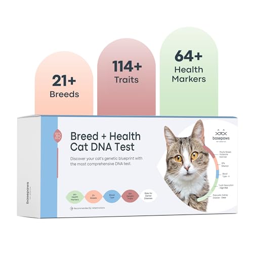 Basepaws Cat DNA Test Kit - Umfassende Rasse-, Gesundheits- und Zahnanalyse über 114 Eigenschaften für genaue und einfach zu bedienende genetische Erkenntnisse von Basepaws