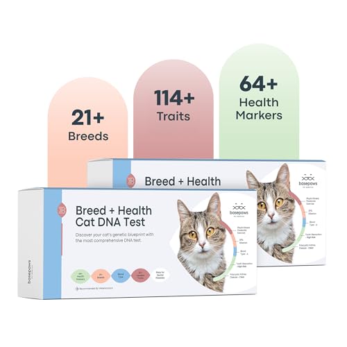 Basepaws Katzen-DNA-Test-Set, 2 Stück, umfassende Rassen-, Gesundheits- und Zahnanalyse über 114 Eigenschaften für genaue und einfach zu bedienende genetische Erkenntnisse von Basepaws